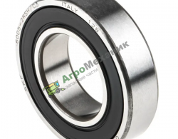 000237713 Подшипник 6005 2RS C3 SKF